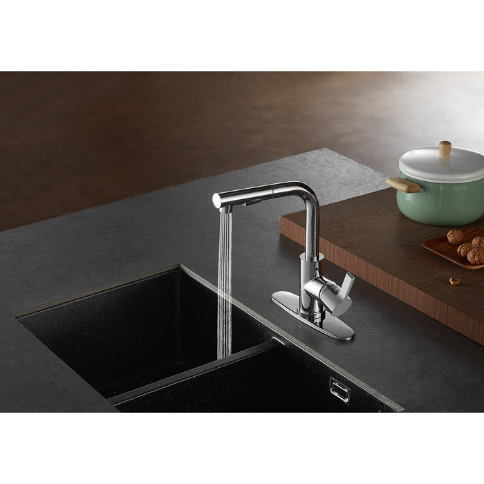 Gourmetier LS2711CTL Continental Single-Handle Pull-Out Kitchen Faucet with Pull-Out Sprayer, Polished Chrome